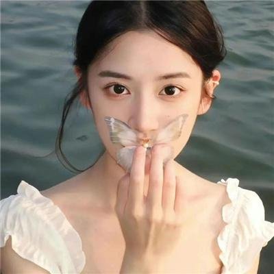 双珠凤