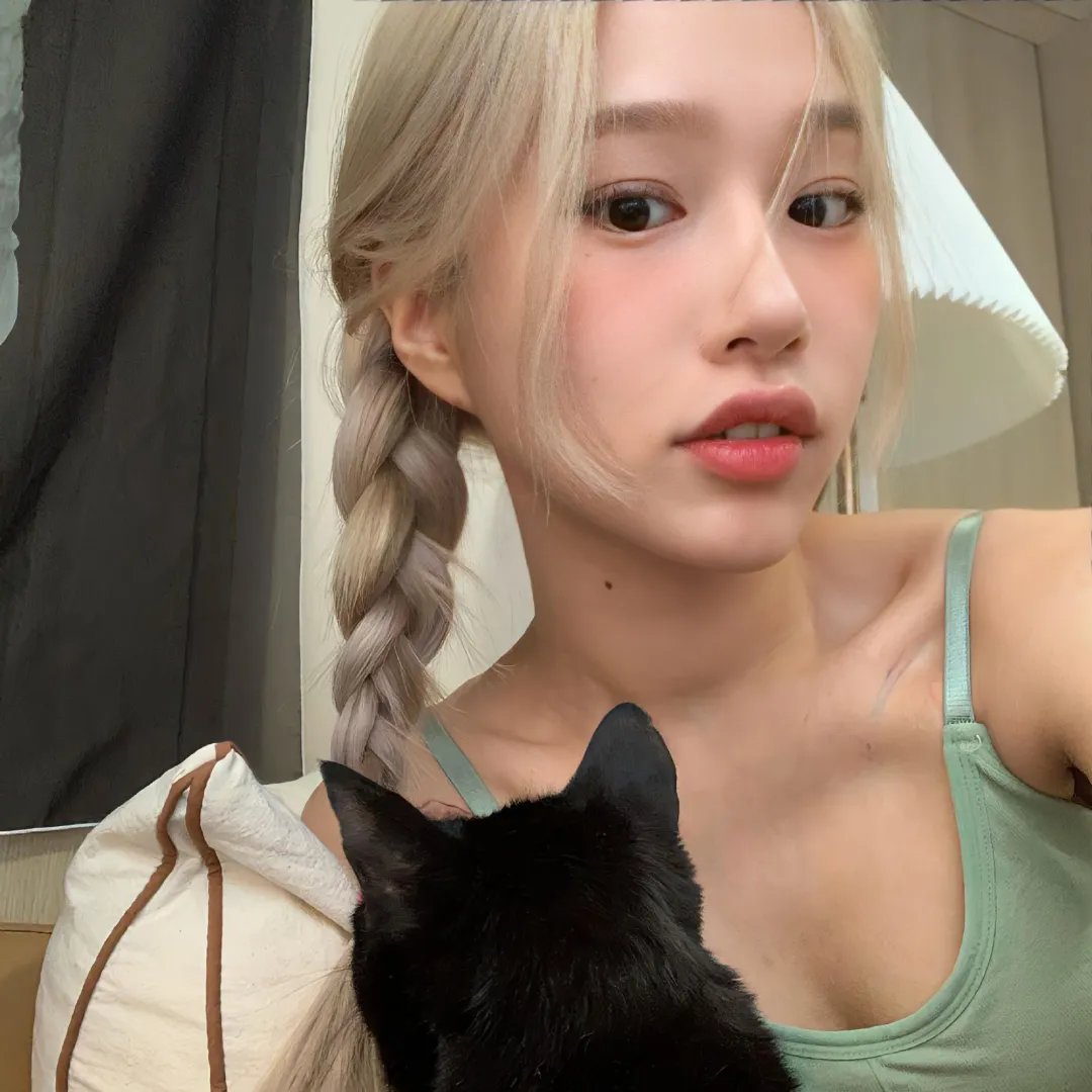 四光猪现蠢记