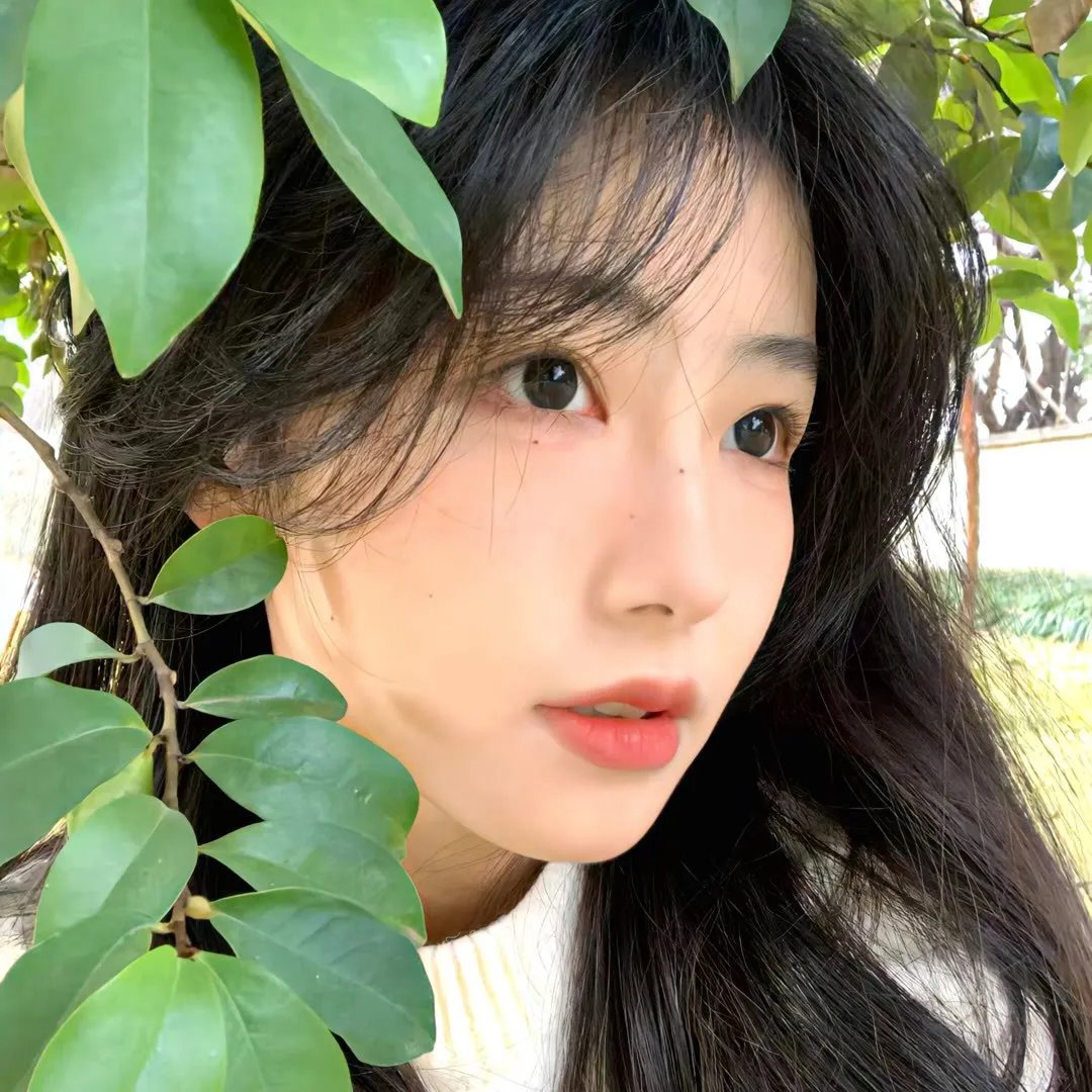 机密行动